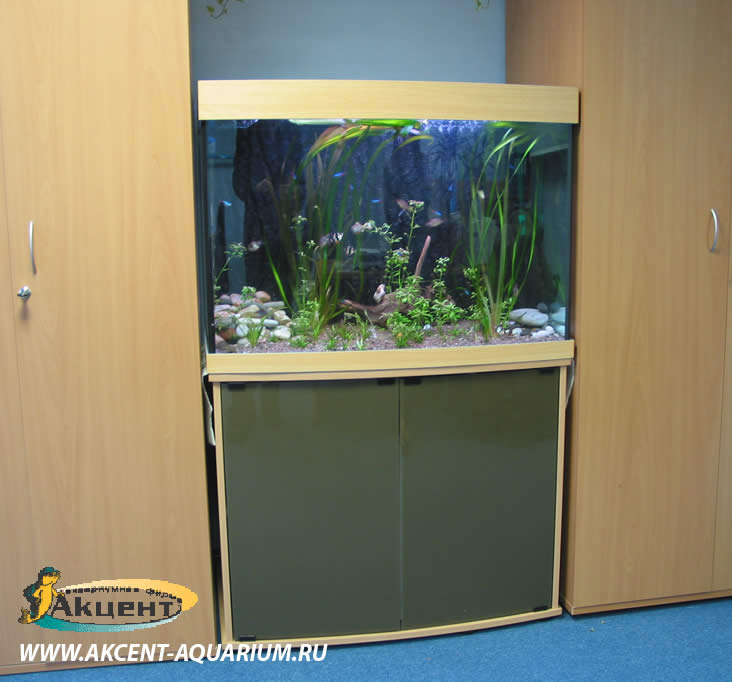 Акцент-аквариум,аквариум 270 литров прямоугольный